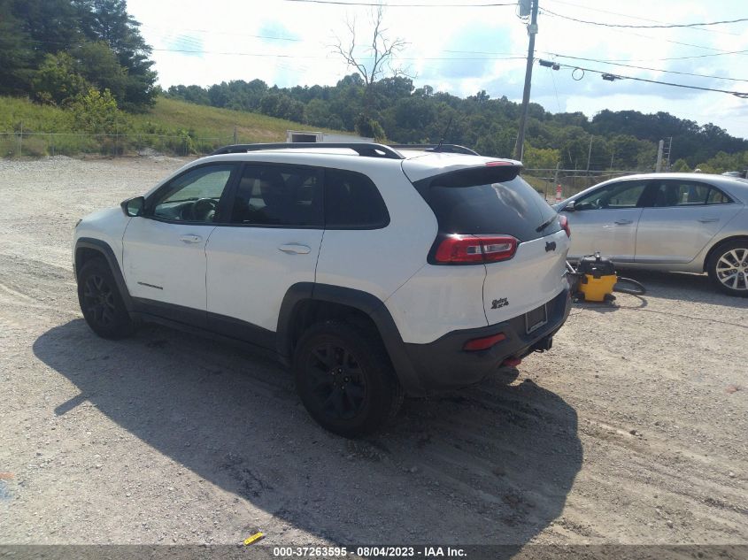 2014 JEEP CHEROKEE TRAILHAWK - 1C4PJMBB8EW310192