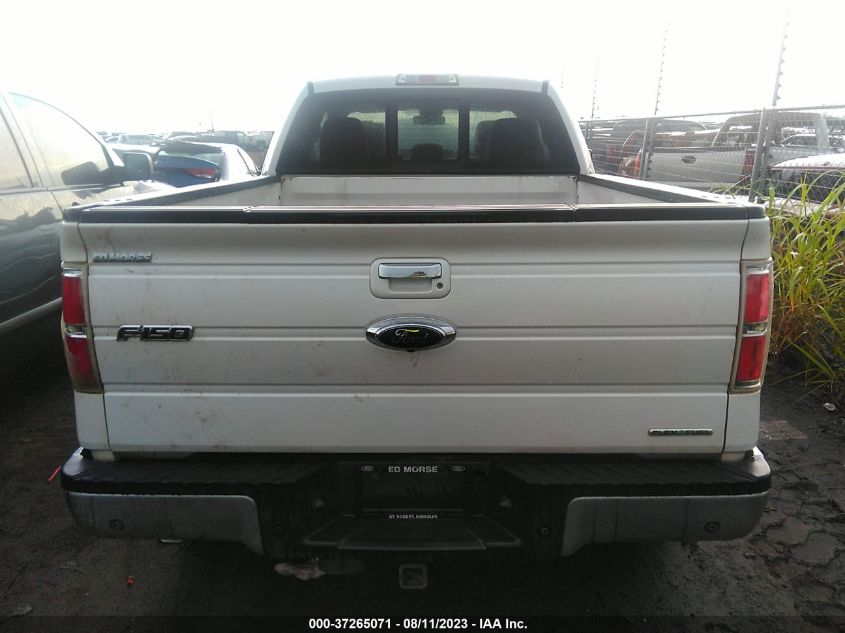 2013 FORD F-150 XL/STX/XLT/FX4/LARIAT - 1FTFX1EF8DKE10984