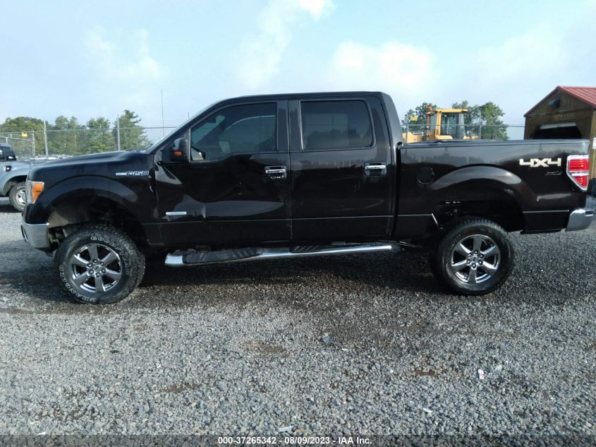 2014 FORD F-150 XL/XLT/FX4/LARIAT - 1FTFW1ET1EKF45198