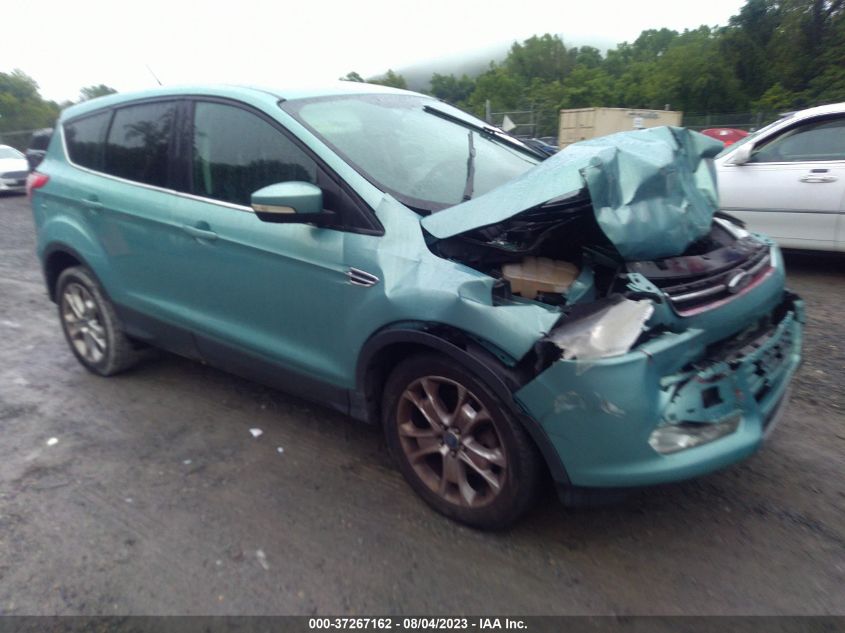 2013 FORD ESCAPE SEL - 1FMCU0H93DUB65023