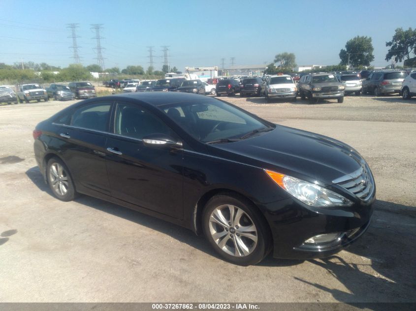 2013 HYUNDAI SONATA LIMITED - 5NPEC4AC5DH549439