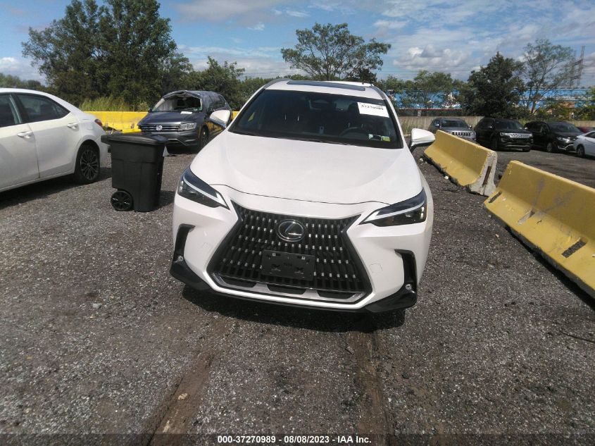 2022 LEXUS NX NX 250 - 2T2ADCAZ2NC002400