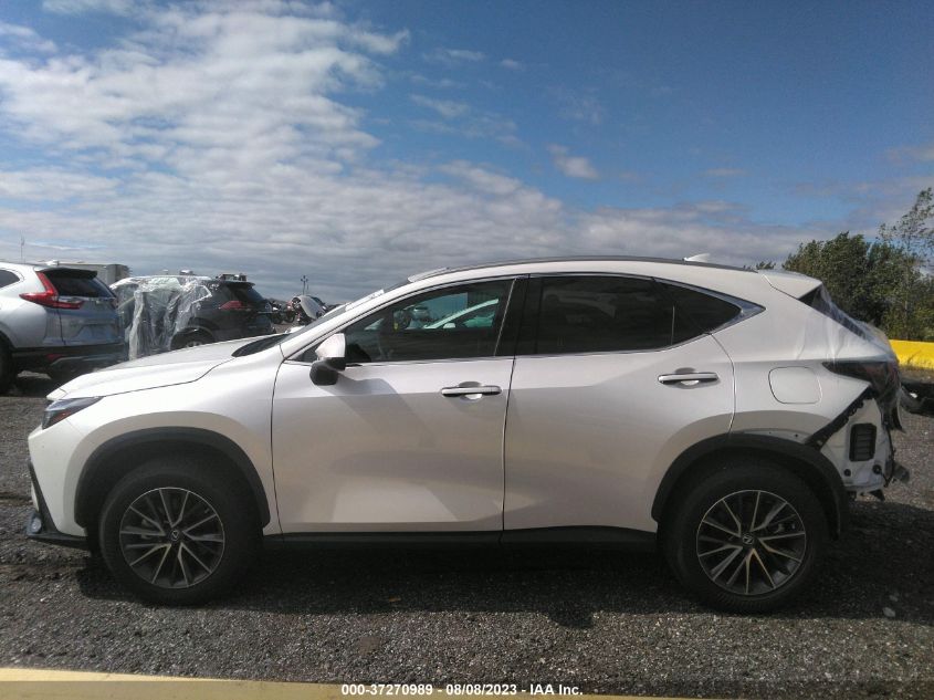 2022 LEXUS NX NX 250 - 2T2ADCAZ2NC002400