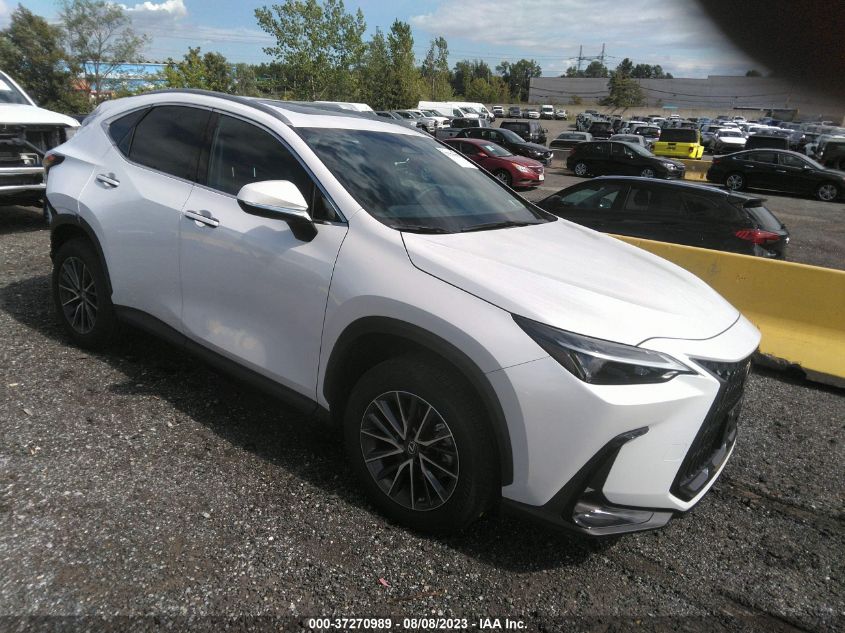2022 LEXUS NX NX 250 - 2T2ADCAZ2NC002400