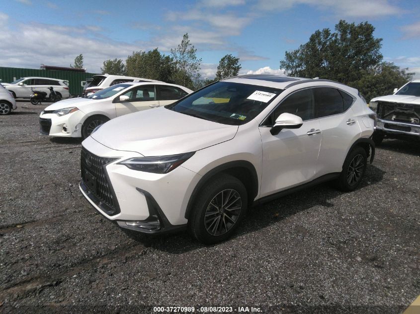 2022 LEXUS NX NX 250 - 2T2ADCAZ2NC002400