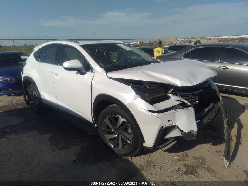 2019 LEXUS NX 300 BASE/300 F-SPORT - JTJYARBZ7K2128157