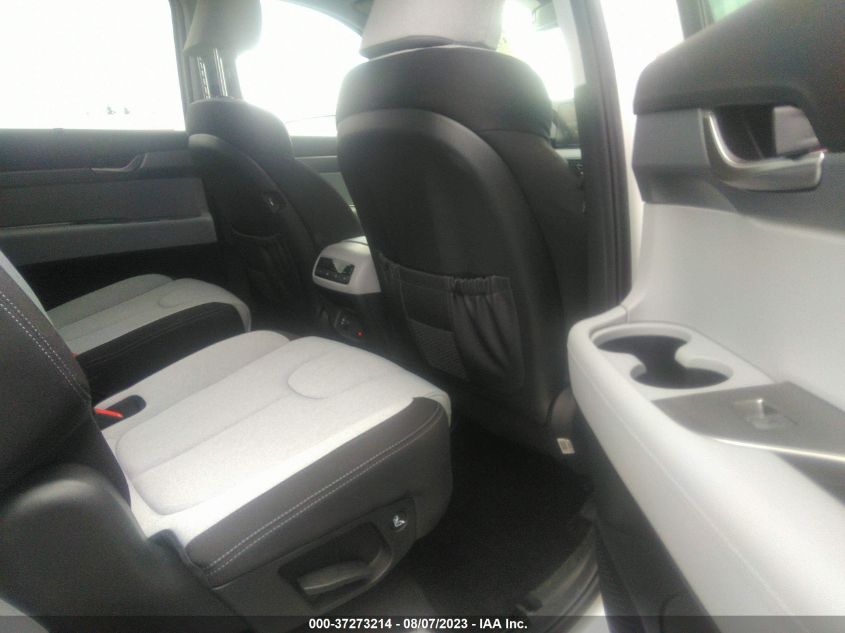 2020 HYUNDAI PALISADE SEL - KM8R3DHE0LU086330