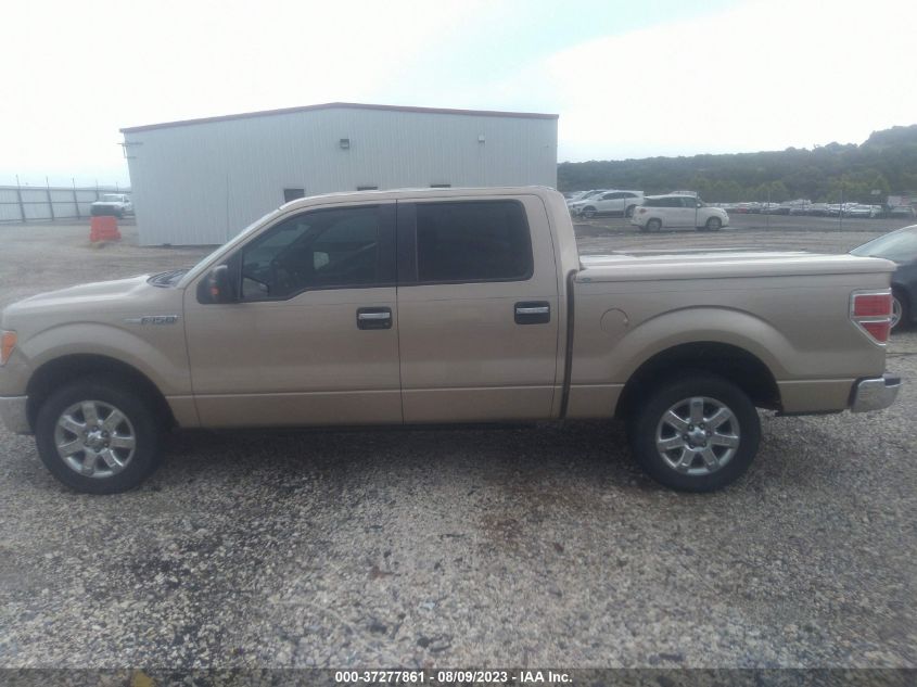 2013 FORD F-150 XL/XLT/FX2/LARIAT - 1FTFW1CF9DKD88077