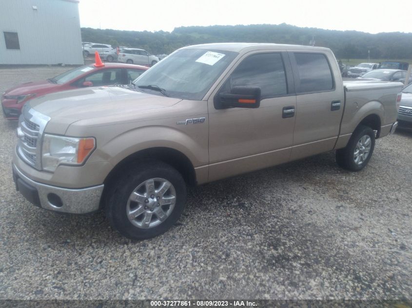 2013 FORD F-150 XL/XLT/FX2/LARIAT - 1FTFW1CF9DKD88077