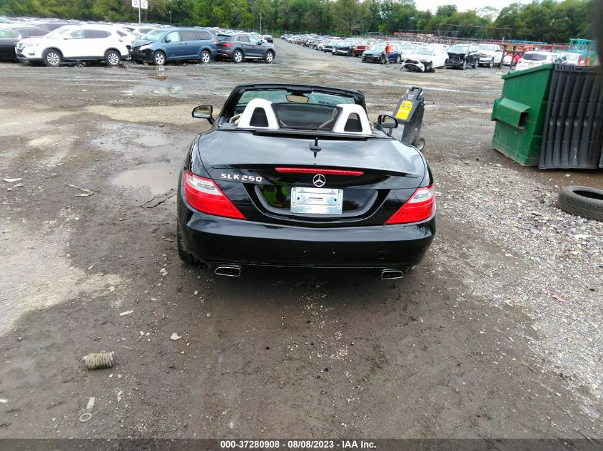 2013 MERCEDES-BENZ SLK-CLASS SLK 250 - WDDPK4HA7DF058208