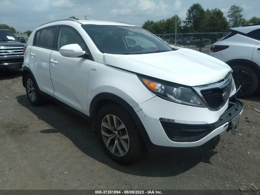 2014 KIA SPORTAGE LX - KNDPBCAC7E7548806