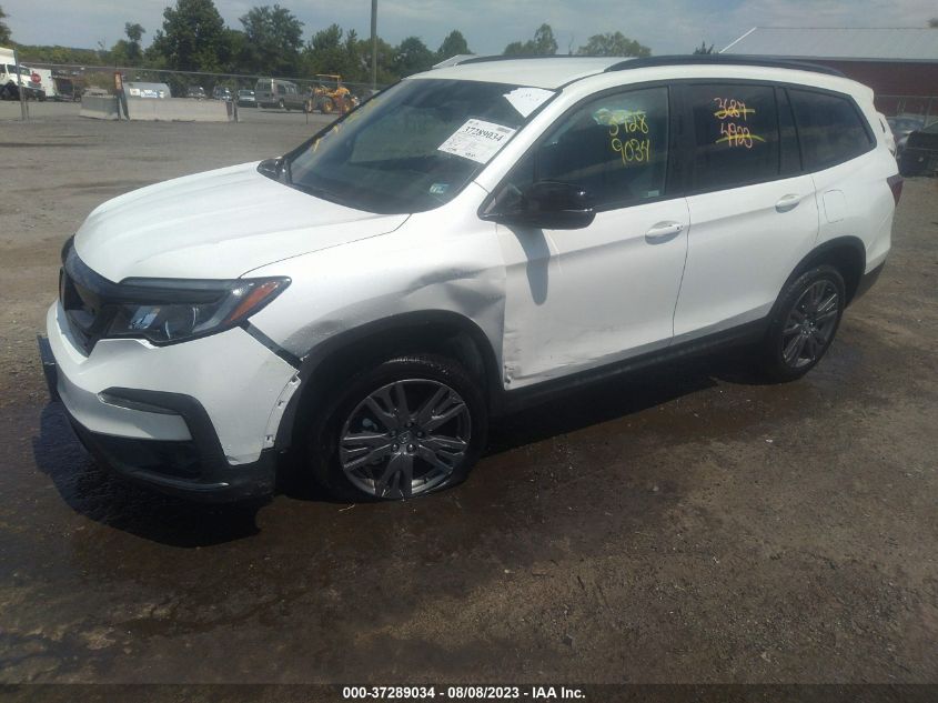 2022 HONDA PILOT SPORT - 5FNYF6H39NB061942