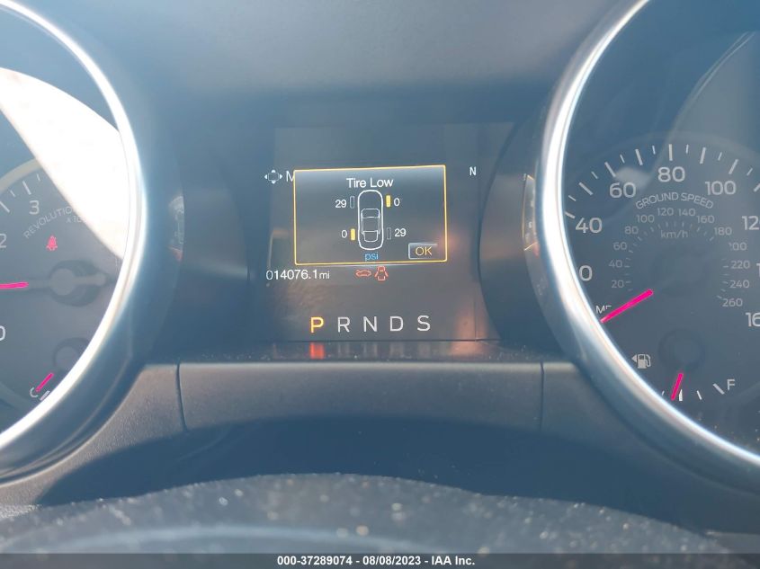 2022 FORD MUSTANG ECOBOOST - 1FA6P8TH8N5146135