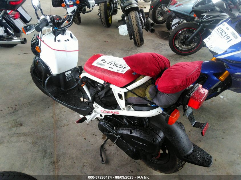 2019 HONDA NPS50 JH2AF5813KK701191