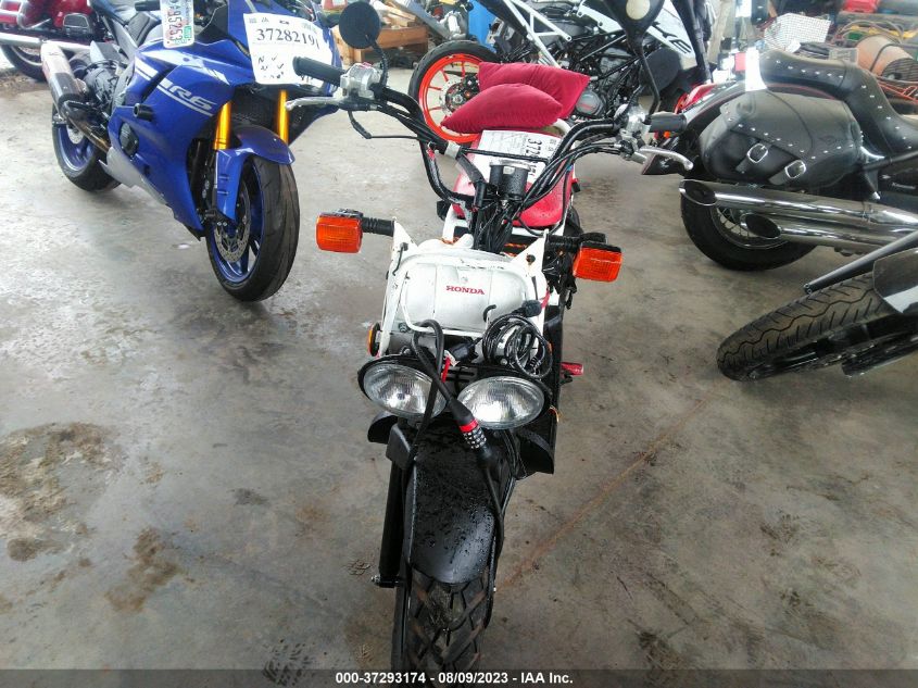 2019 HONDA NPS50 JH2AF5813KK701191