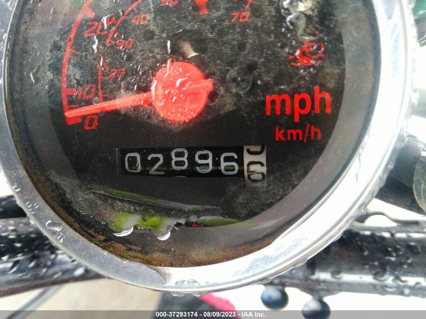 2019 HONDA NPS50 JH2AF5813KK701191