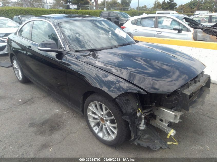 2015 BMW 2 SERIES 228I - WBA1F9C55FV544128