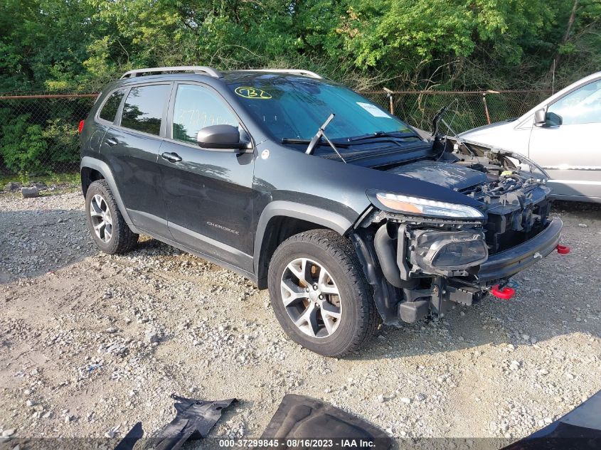 2014 JEEP CHEROKEE TRAILHAWK - 1C4PJMBS4EW161568