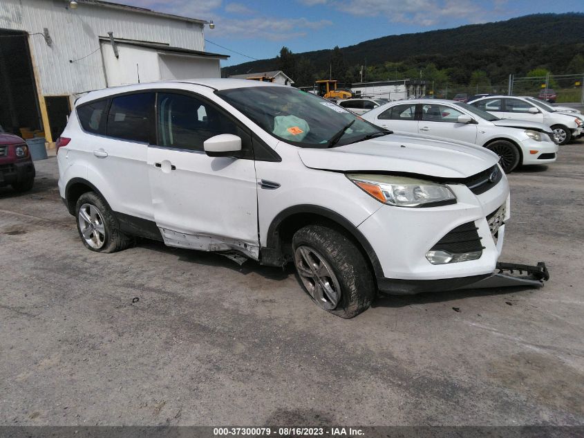 2014 FORD ESCAPE SE - 1FMCU0GX8EUE55162