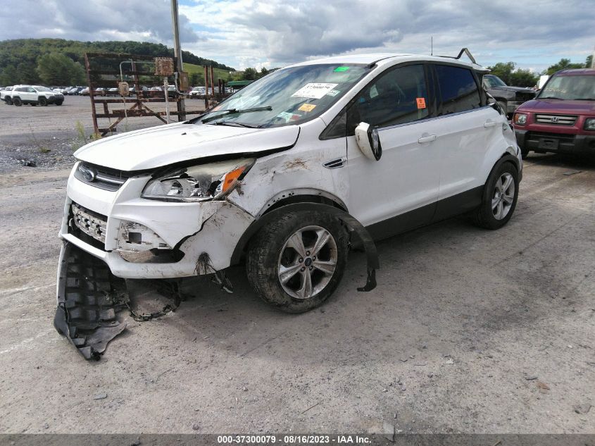 2014 FORD ESCAPE SE - 1FMCU0GX8EUE55162