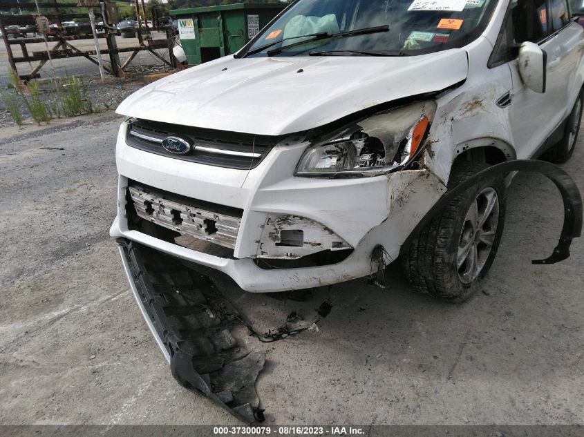 2014 FORD ESCAPE SE - 1FMCU0GX8EUE55162