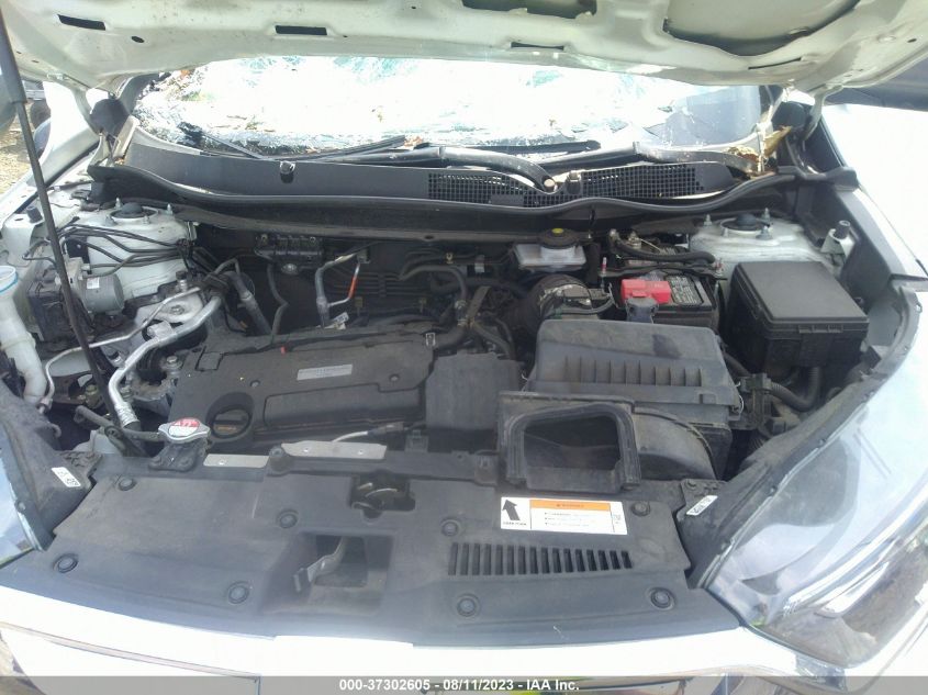 2019 HONDA CR-V LX - 2HKRW5H36KH406677