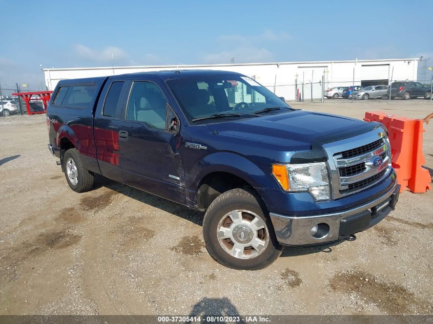 2013 FORD F-150 XL/XLT/FX4/LARIAT - 1FTFX1ET2DFC47831