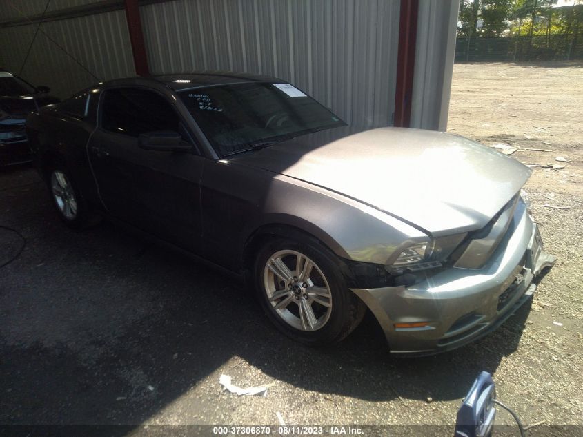 2014 FORD MUSTANG V6 - 1ZVBP8AM5E5297942