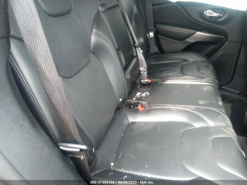 2019 JEEP CHEROKEE LIMITED - 1C4PJMDN6KD123855