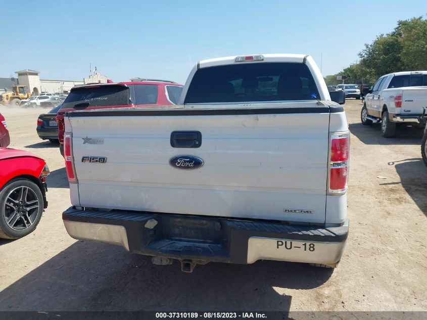 2013 FORD F-150 XL/STX/XLT/FX4/LARIAT - 1FTFX1EF0DKF31069