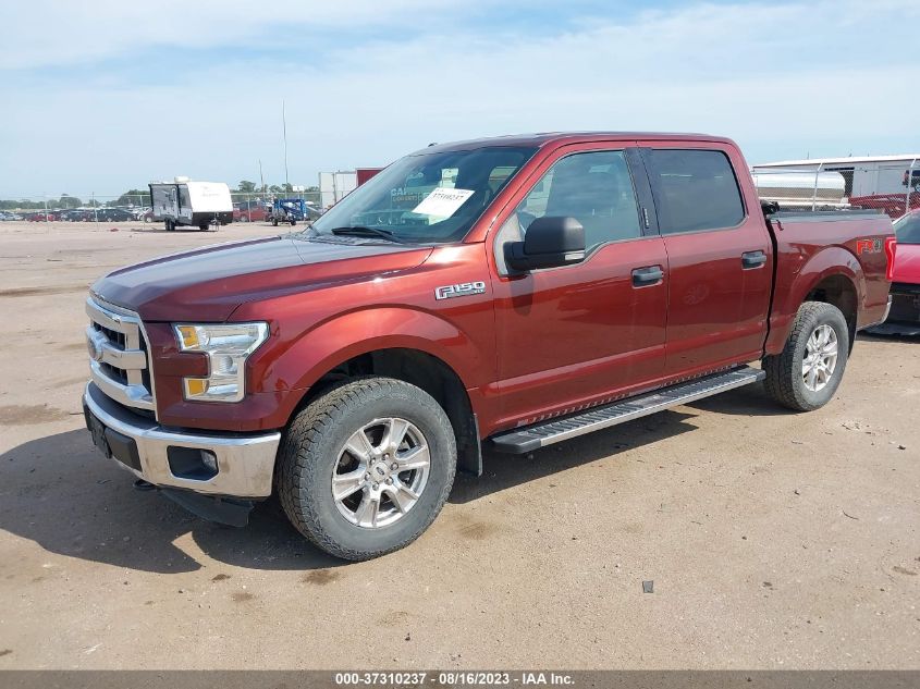 2015 FORD F-150 XLT/XL/LARIAT/PLATINUM - 1FTEW1EF8FFA10921