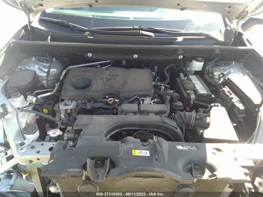 VIN 2T3W1RFV7KW051556 2019 TOYOTA RAV4 XLE