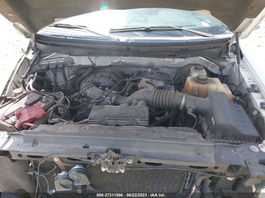 2013 FORD F-150 XL/XLT - 1FTEW1CM8DKE16381