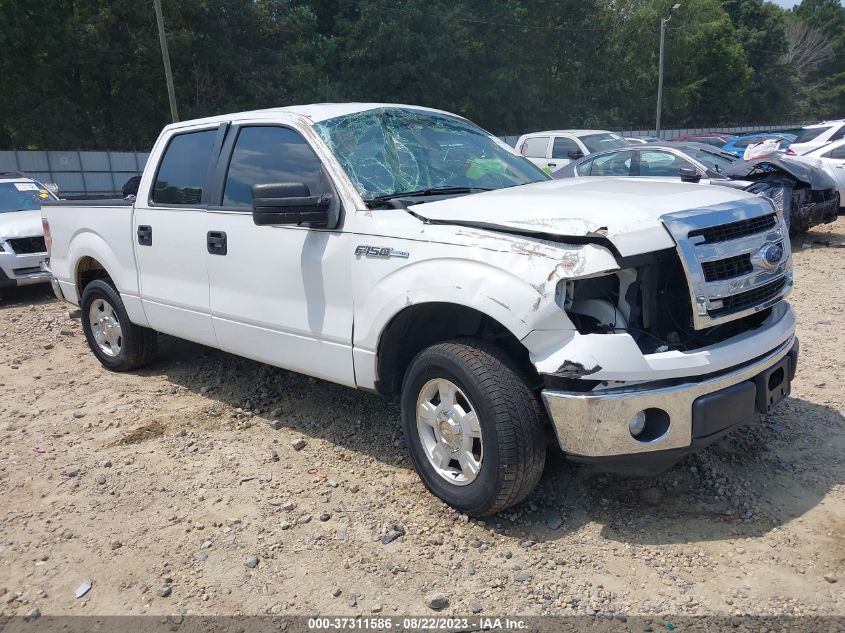 2013 FORD F-150 XL/XLT - 1FTEW1CM8DKE16381