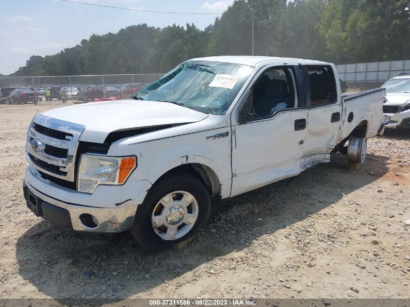 2013 FORD F-150 XL/XLT - 1FTEW1CM8DKE16381