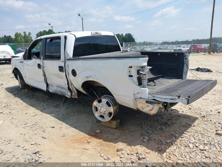 2013 FORD F-150 XL/XLT - 1FTEW1CM8DKE16381