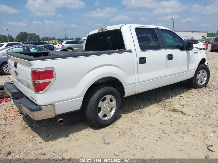 2013 FORD F-150 XL/XLT - 1FTEW1CM8DKE16381