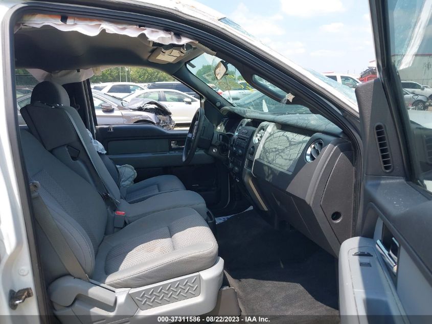 2013 FORD F-150 XL/XLT - 1FTEW1CM8DKE16381