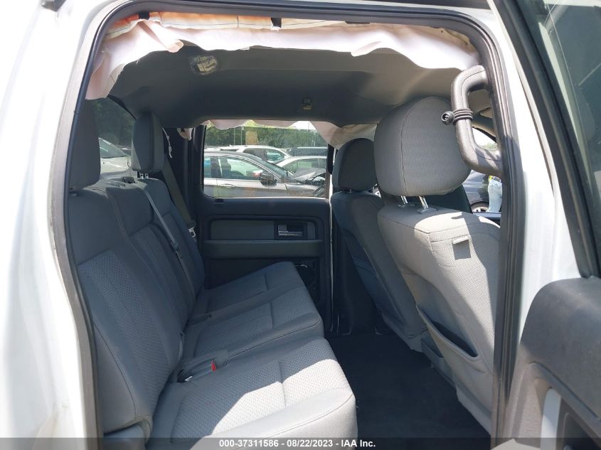 2013 FORD F-150 XL/XLT - 1FTEW1CM8DKE16381