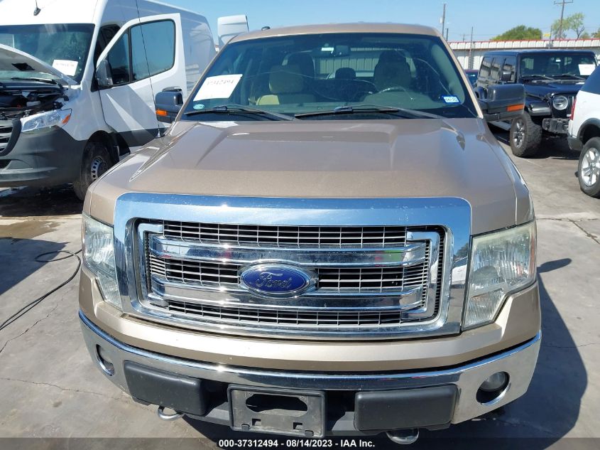 2013 FORD F-150 XL/XLT/FX4/LARIAT - 1FTFW1EF2DKE60637