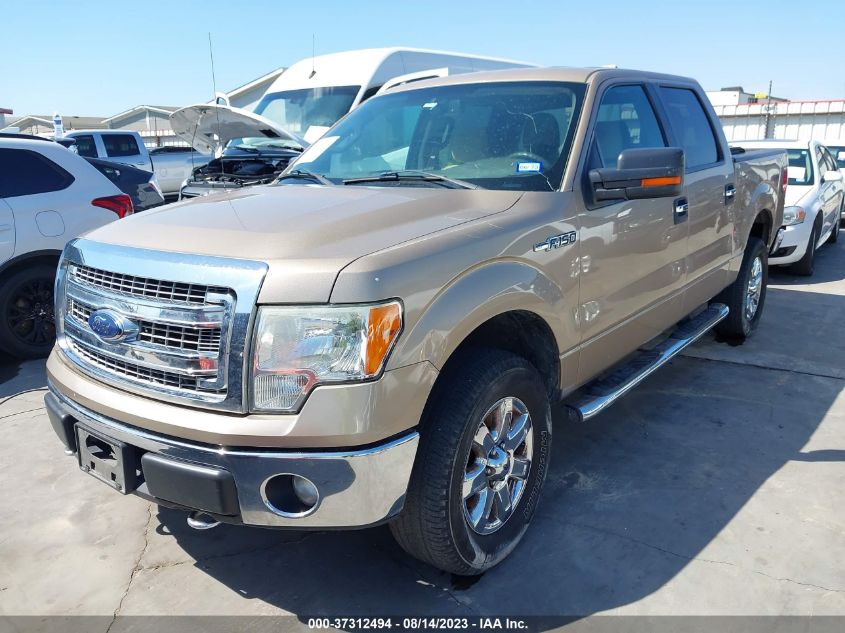 2013 FORD F-150 XL/XLT/FX4/LARIAT - 1FTFW1EF2DKE60637