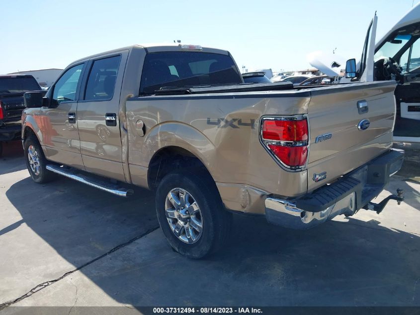 2013 FORD F-150 XL/XLT/FX4/LARIAT - 1FTFW1EF2DKE60637