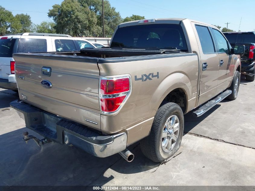 2013 FORD F-150 XL/XLT/FX4/LARIAT - 1FTFW1EF2DKE60637