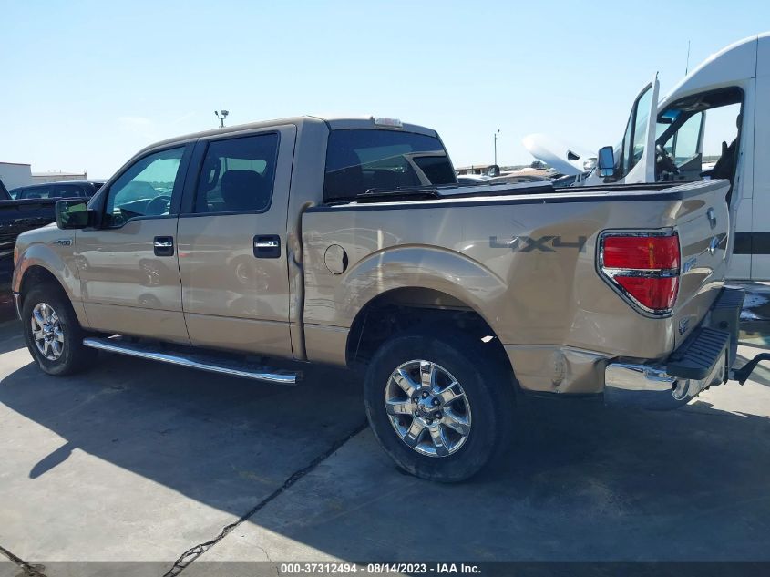 2013 FORD F-150 XL/XLT/FX4/LARIAT - 1FTFW1EF2DKE60637