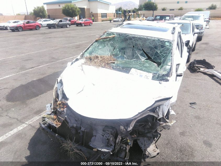 2013 TOYOTA RAV4 XLE - 2T3WFREV8DW027708