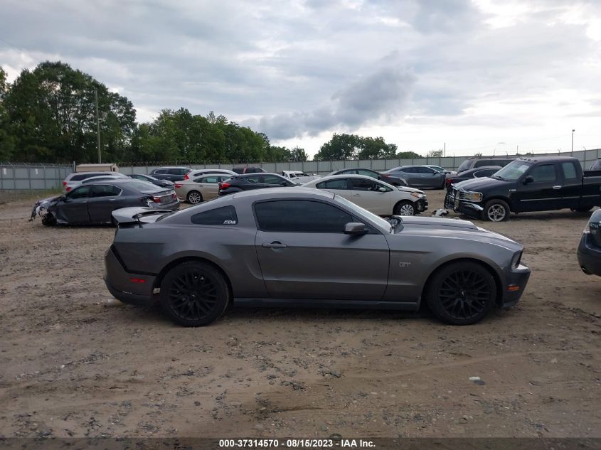 1ZVBP8CH6A5143962 2010 FORD MUSTANG, photo no. 13