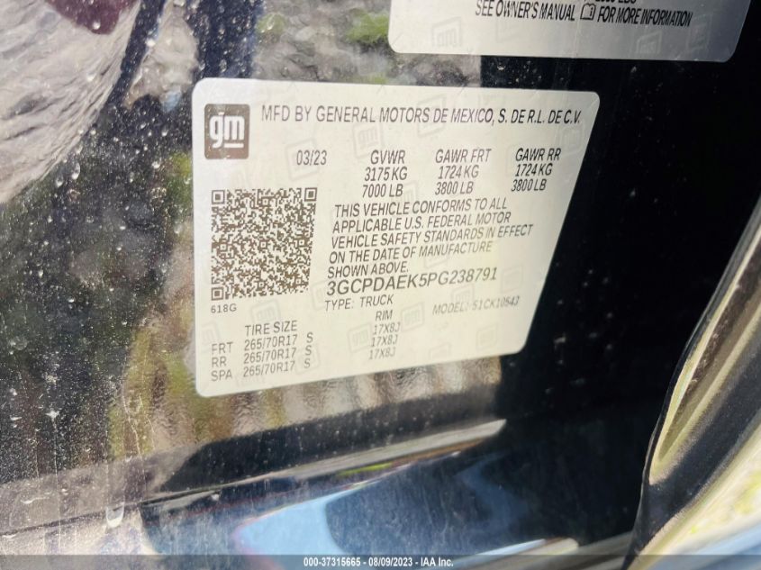 2023 CHEVROLET SILVERADO 1500 WORK TRUCK - 3GCPDAEK5PG238791
