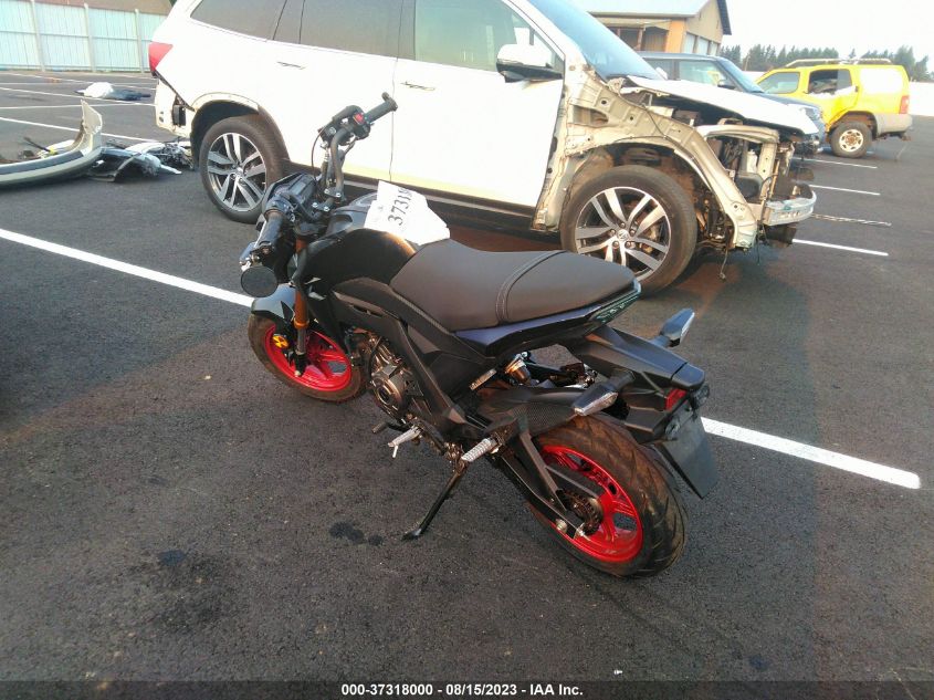 2023 KAWASAKI BR125 J - JKABRRJ14PDA25686