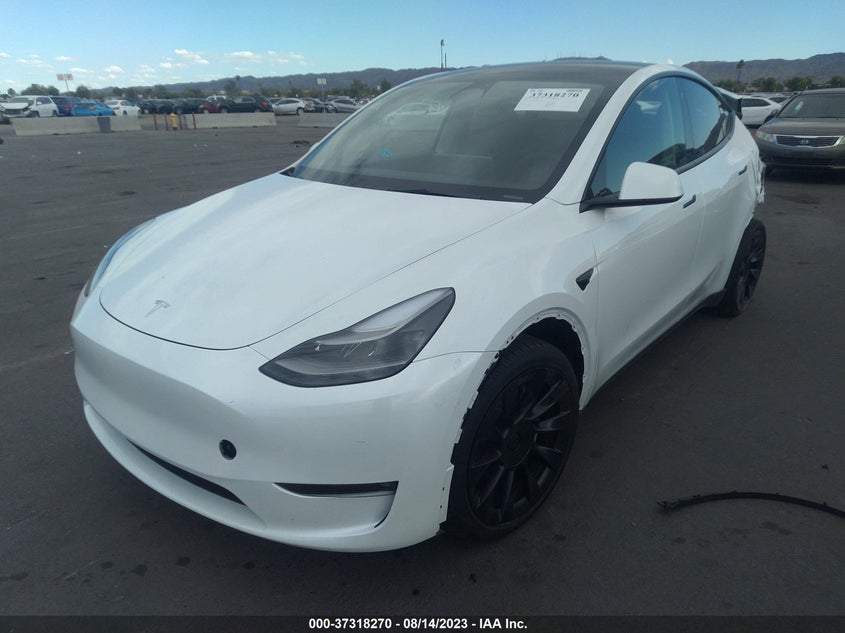 VIN 7SAYGAEE0PF695572 2023 TESLA MODEL Y