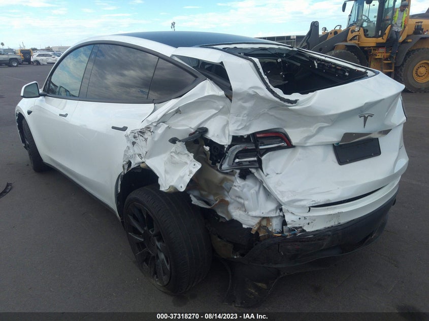 VIN 7SAYGAEE0PF695572 2023 TESLA MODEL Y